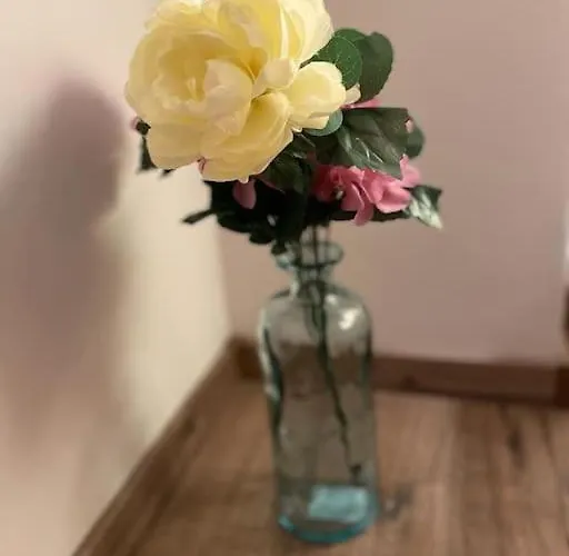 Appartement Wunderschoene Naehe Essen / Duesseldorf Heiligenhaus